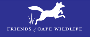 Friends Of Cape Wildlife