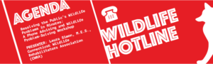 Wildlife Hotline Workshop Header