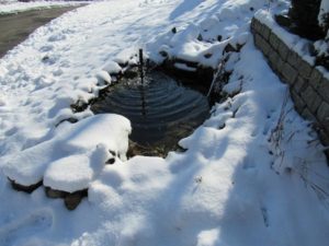 Backyard pond after snowfall